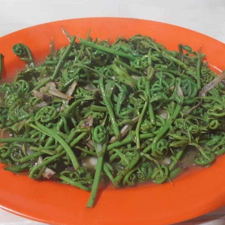 Tumis Pakis