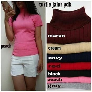 Turtle neck shirt 