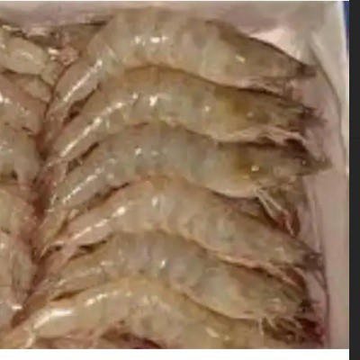UDANG VANAME