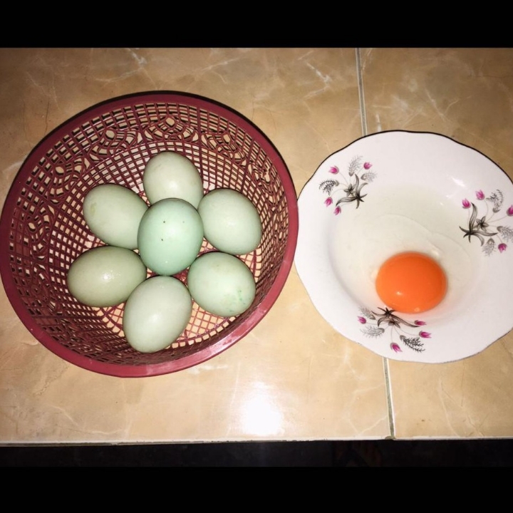 Telur Bebek Ukuran AB ISI 10 Butir