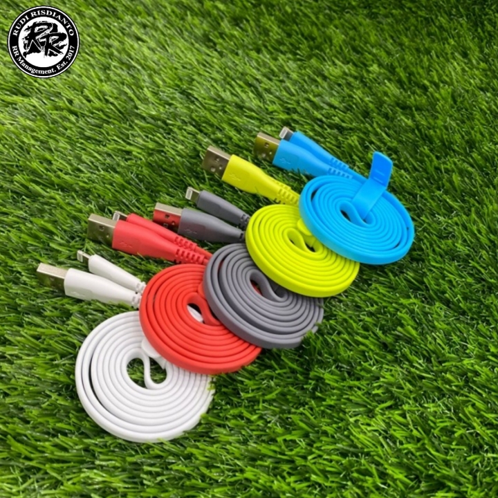 USB iPhone Vivan