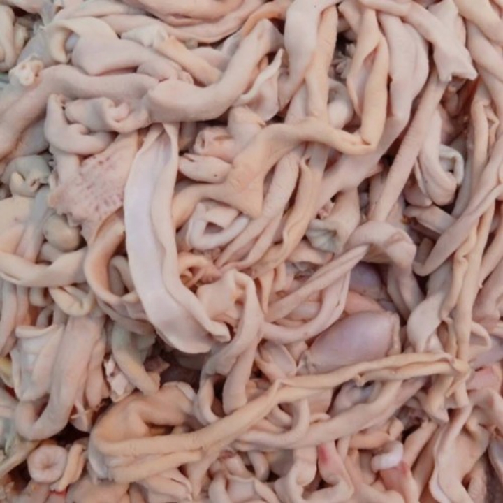 USUS AYAM 