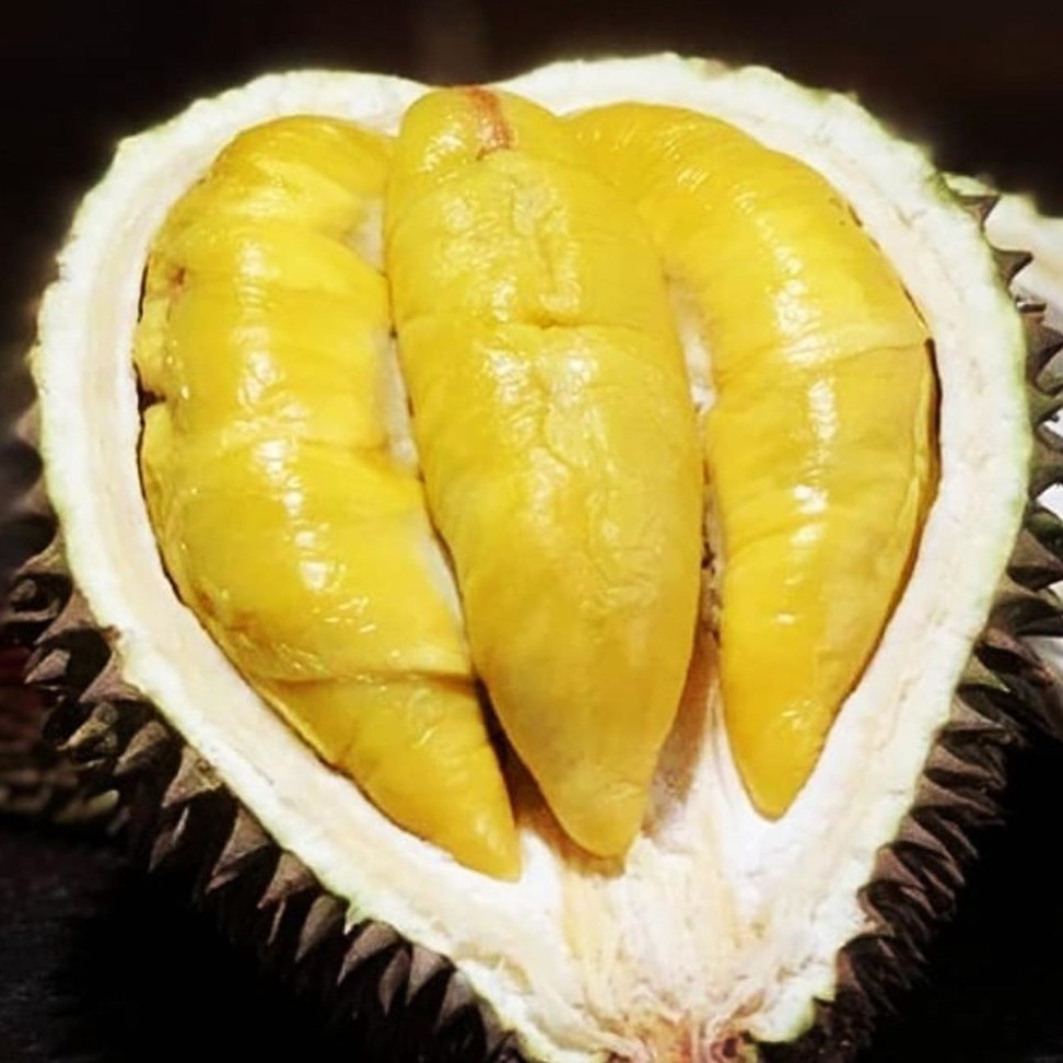 Ucok Durian 4