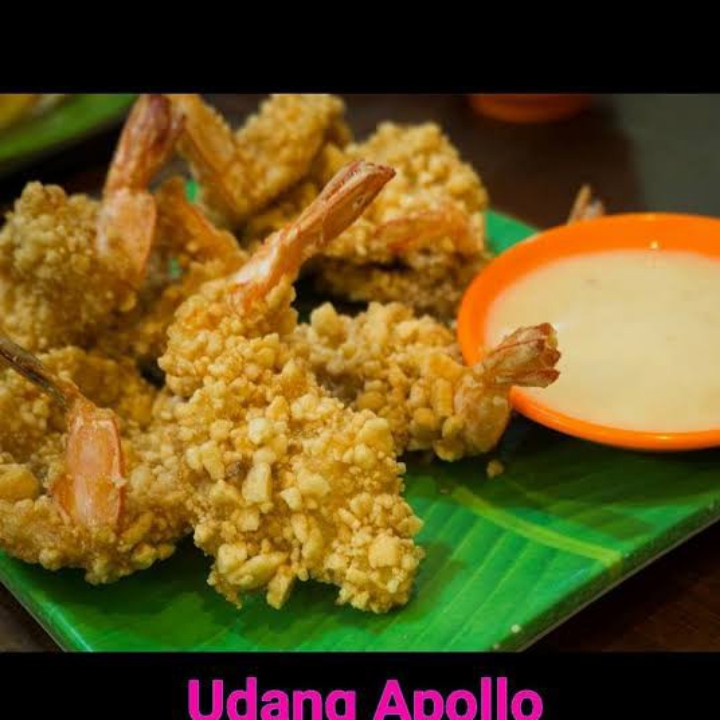 Udang Apollo