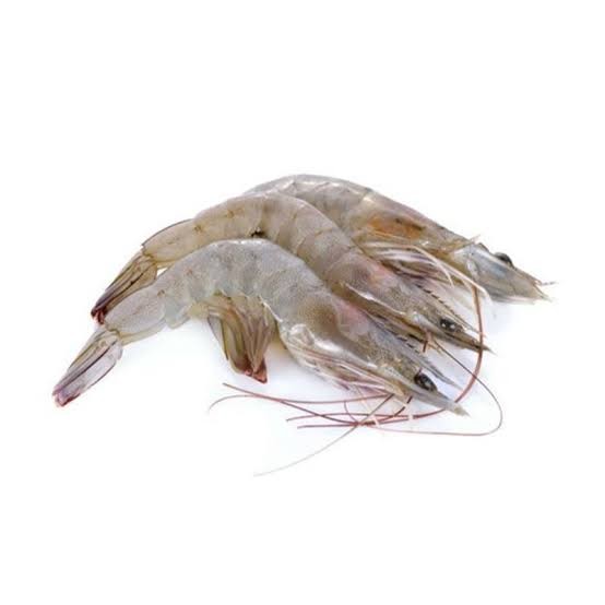 Udang Dogol