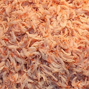 Udang Kecepe 250gr 