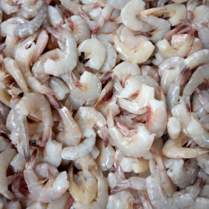 Udang Kecil 1kg