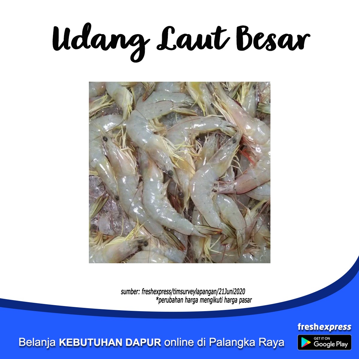 Udang Laut Besar 1 Kg