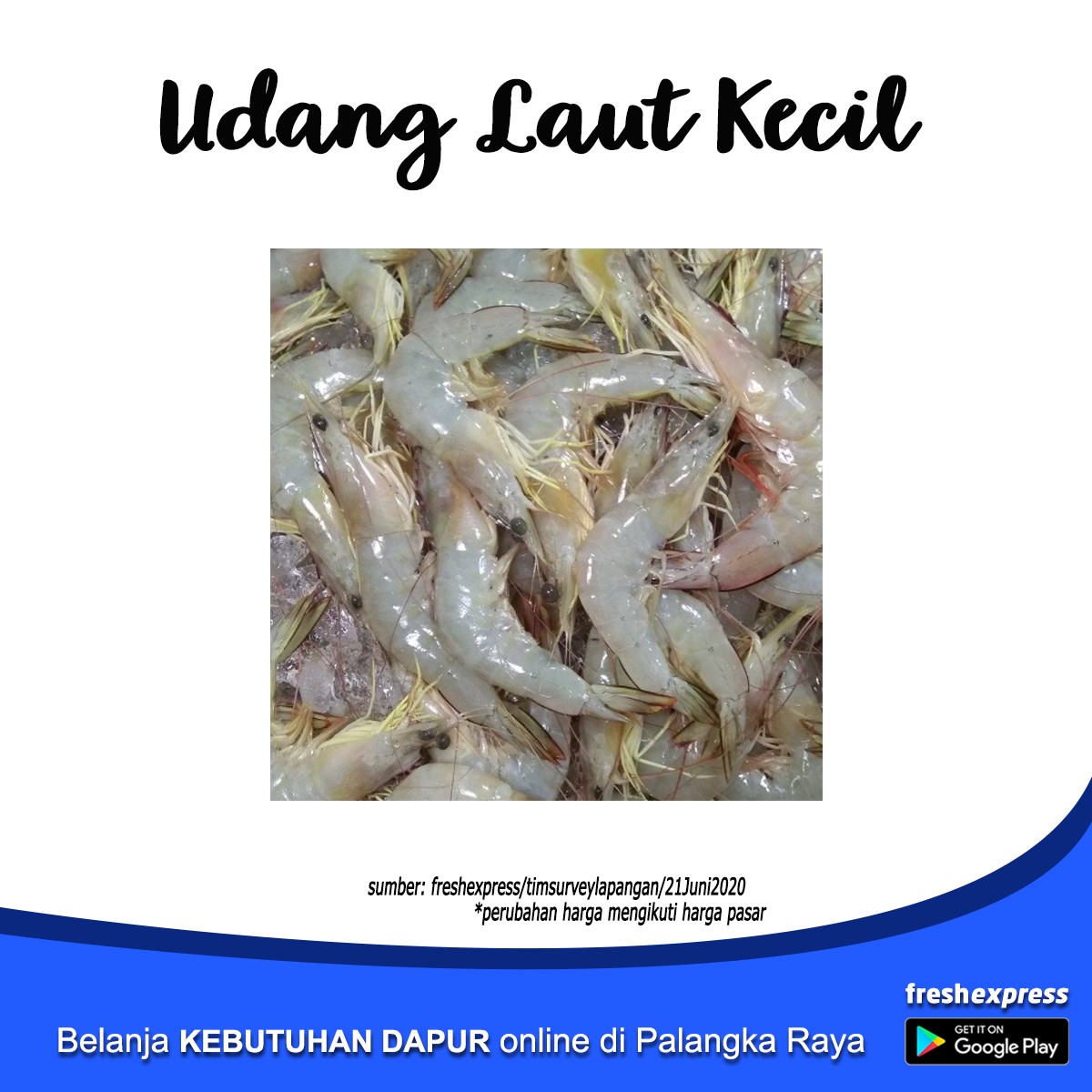 Udang Laut Kecil 500 Gram