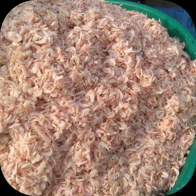 Udang Rebon Halus