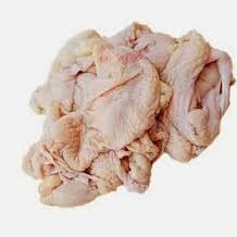 Usus Ayam