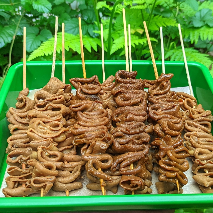 Usus Ayam