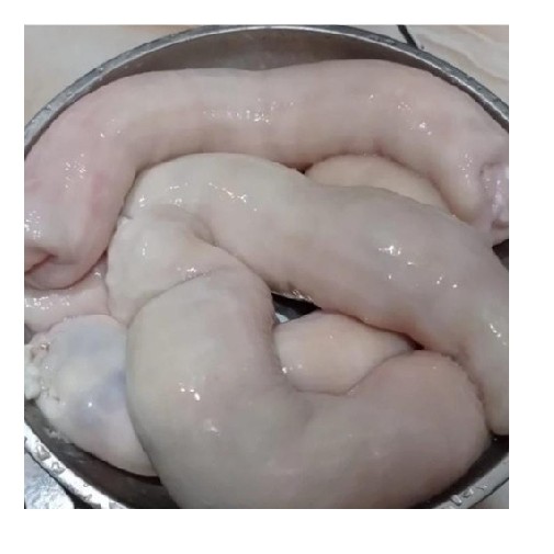 Usus Sapi