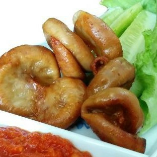 USUS SAPI