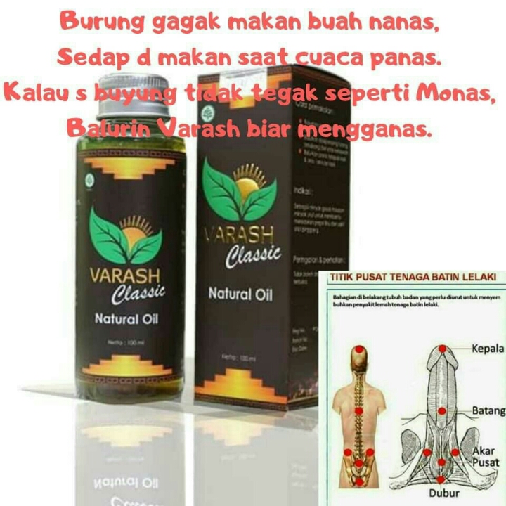 VARASH CLASSIC  3