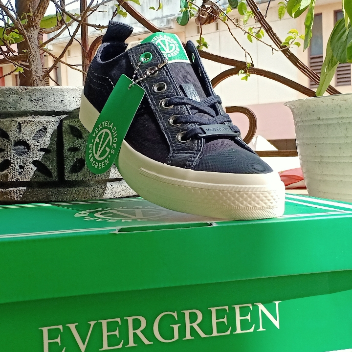 Ventela Evergreen 2