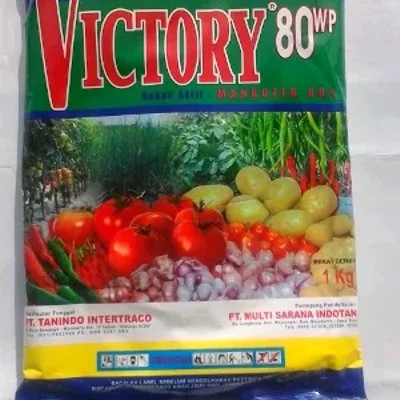 Victory 80 WP