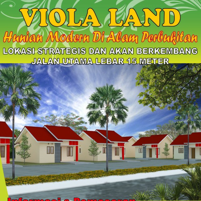 Viola Land