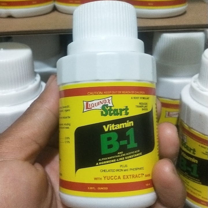 Vit B1 Liquinox Anti Setres Tanaman