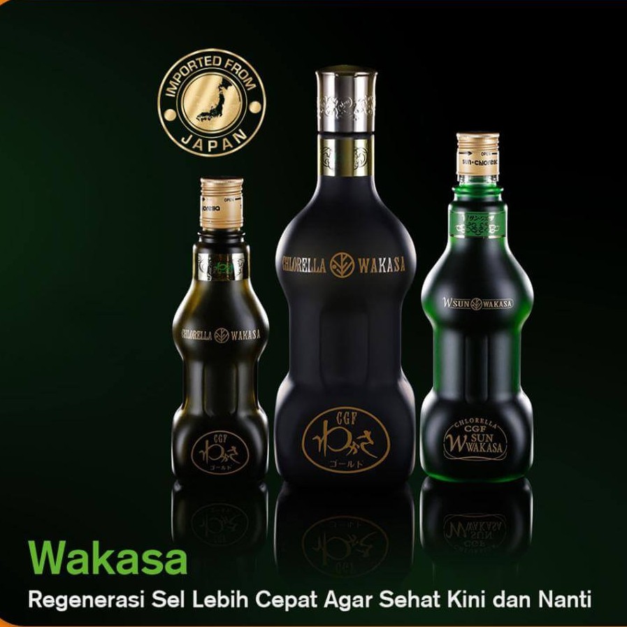 Wakasa Gold Mini