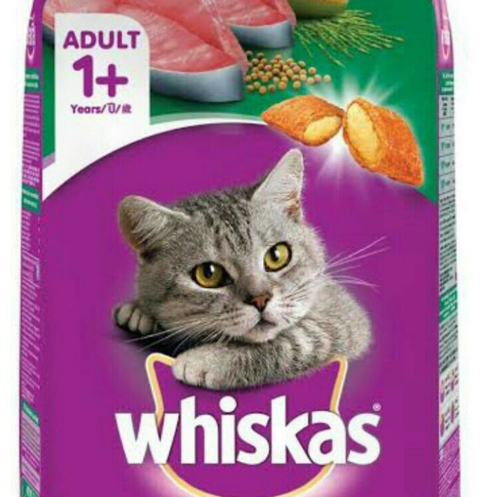 Whiskas Adult 1plus 450 Gram