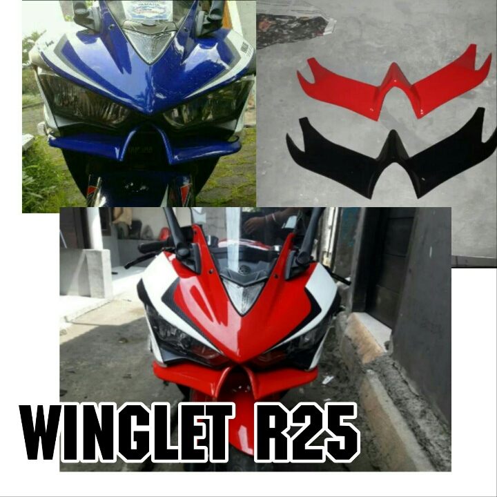 Winglet R25