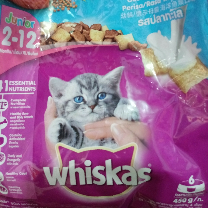 Wiskas Kitten