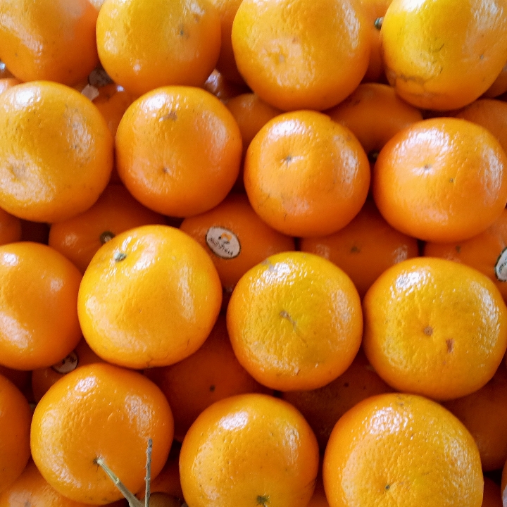 Wokam Mandarin 