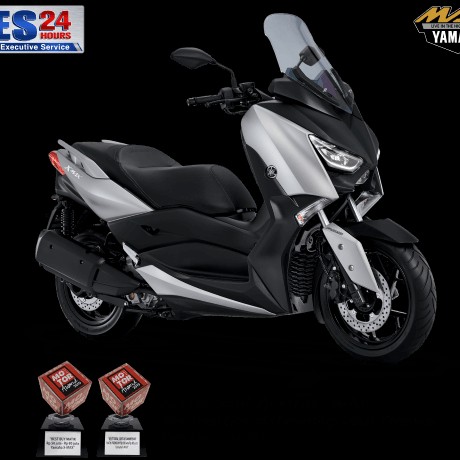 X MAX 250 CC 3