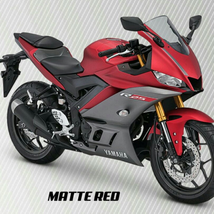 YAMAHA R25