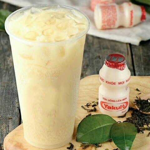 Yakult Green Tea