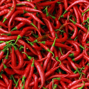 Yang Segar Segar Cabe Wortel Dll