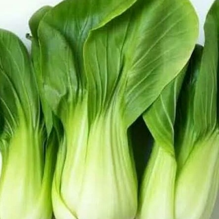 Yang Segar Segar Cabe Wortel Dll 5