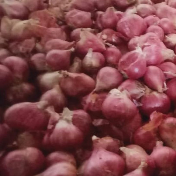 bawang merah