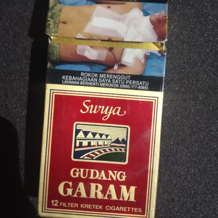 gudang garam surya 12