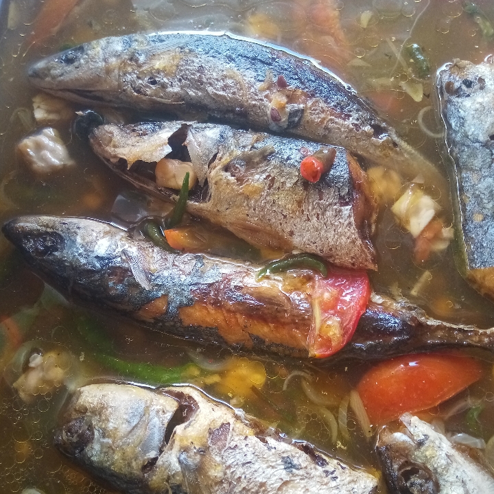 ikan  Laut  Taucho