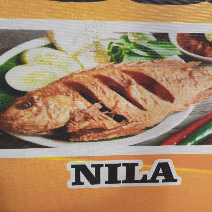 ikan Nila Goreng