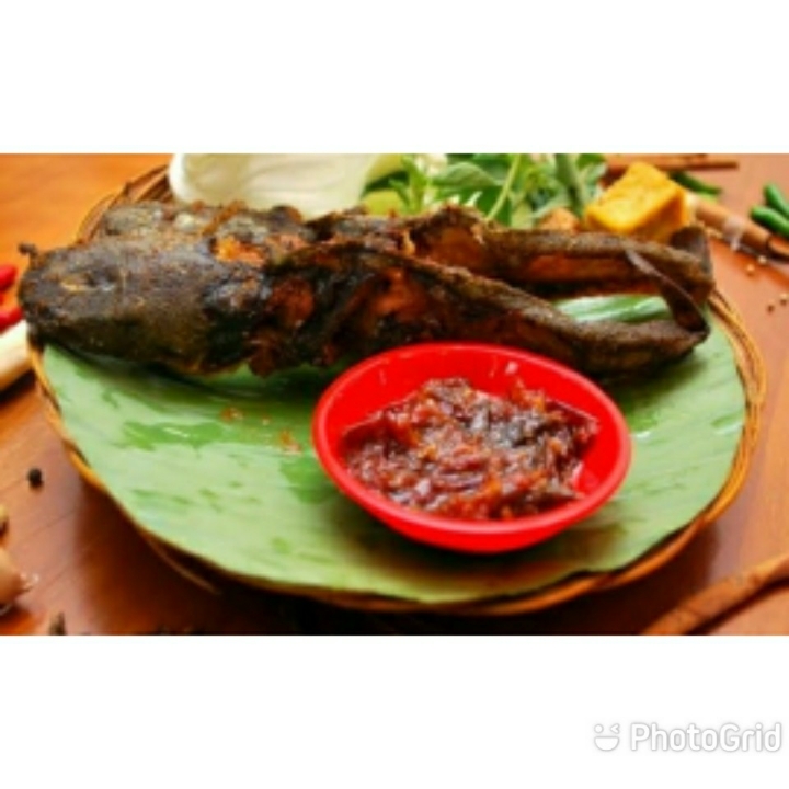 ikan lele tambah Nasi 