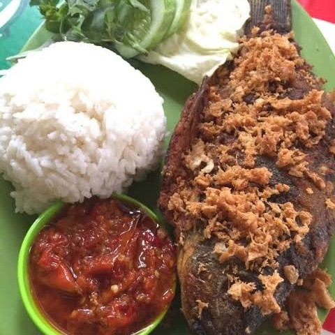 ikan mas