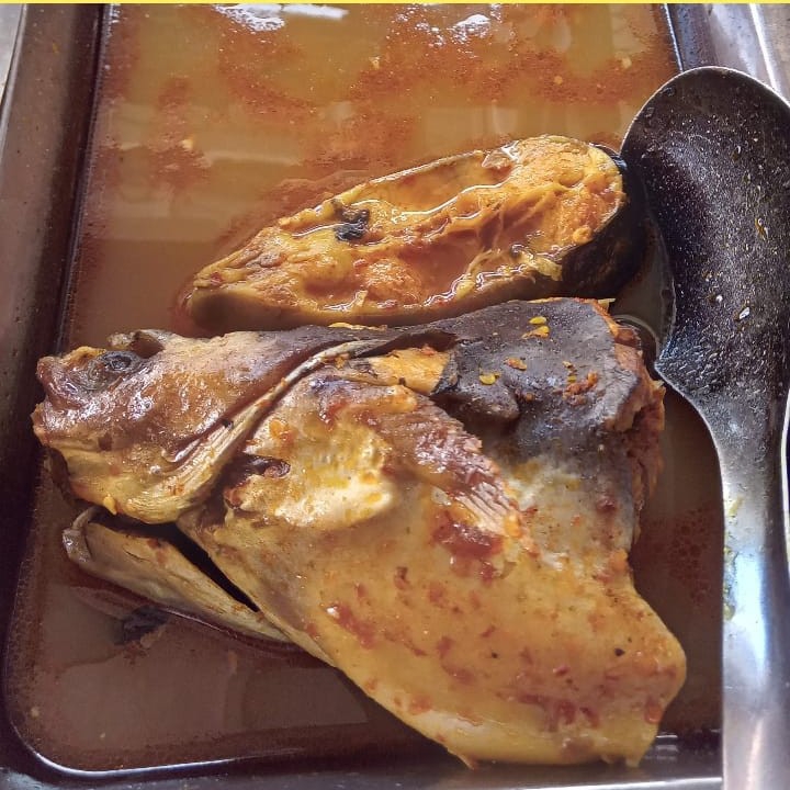 ikan patin