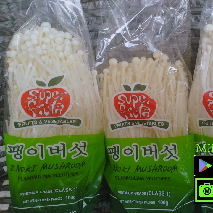 jamur Enoki