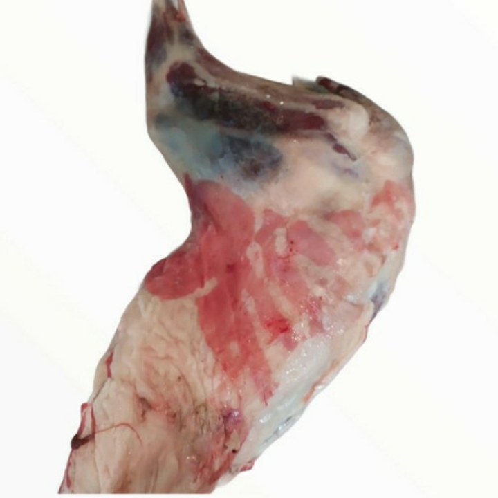 Daging kaki Belakang Sengkel