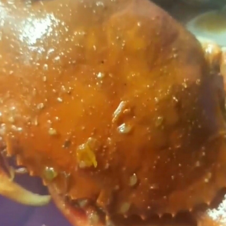 kepiting bertelur