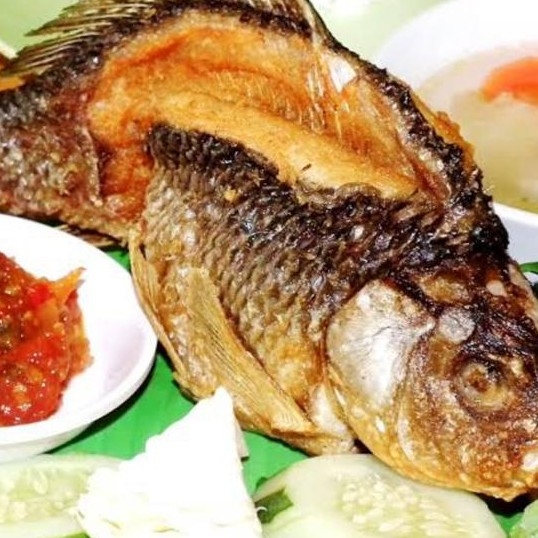 lalapan ikan mas 