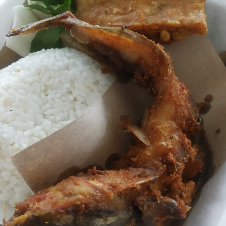 lele goreng