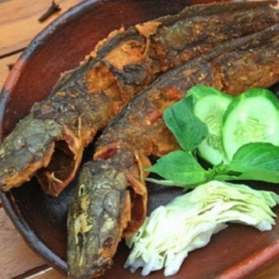 lele goreng