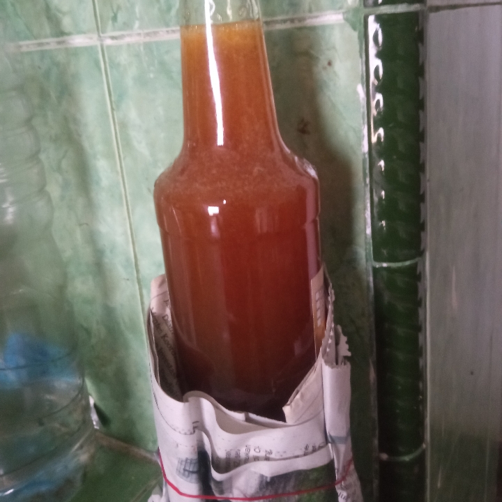 madu murni