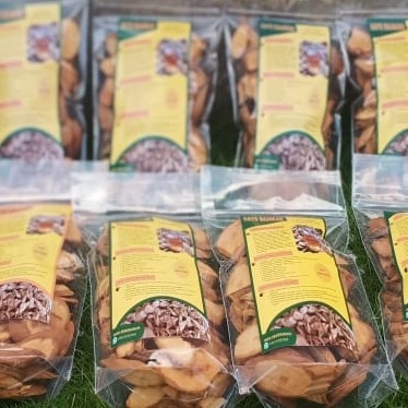 minuman bajakah