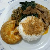 nasi iso
