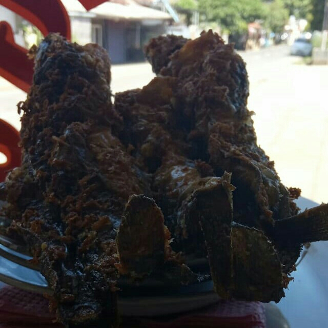 nasi lele